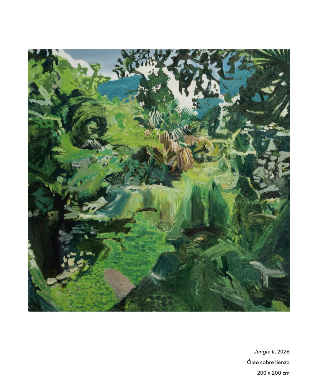 Jungle 14 